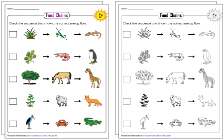 12 Printable Math Worksheets 4 Kids Forms And Templates Fillable 
