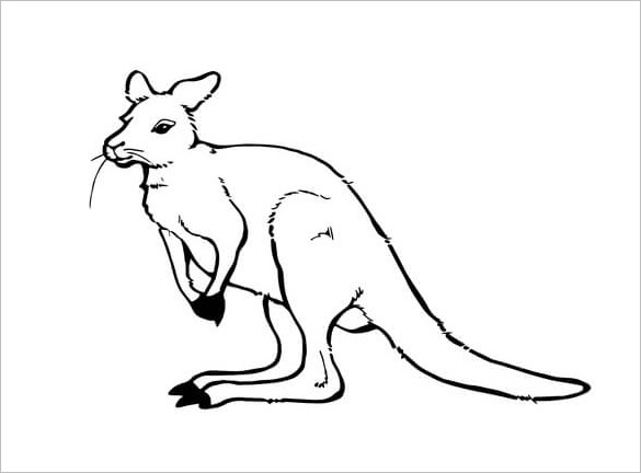 kangaroo templates free printable