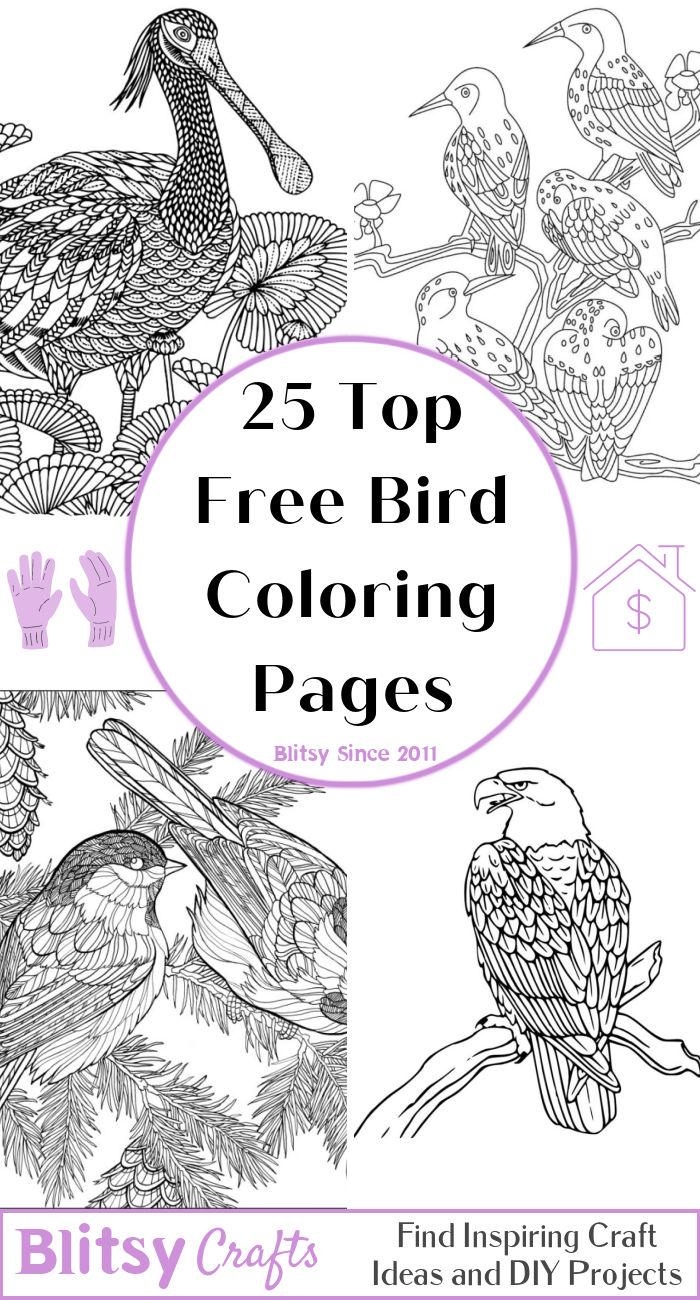 bird coloring pages free