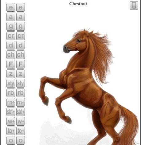 picture of horse to color