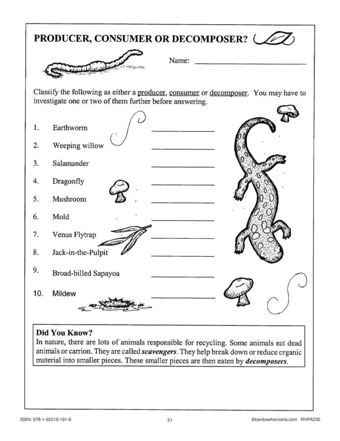 4th Grade Science Worksheets Word Lists And Activities Worksheets 