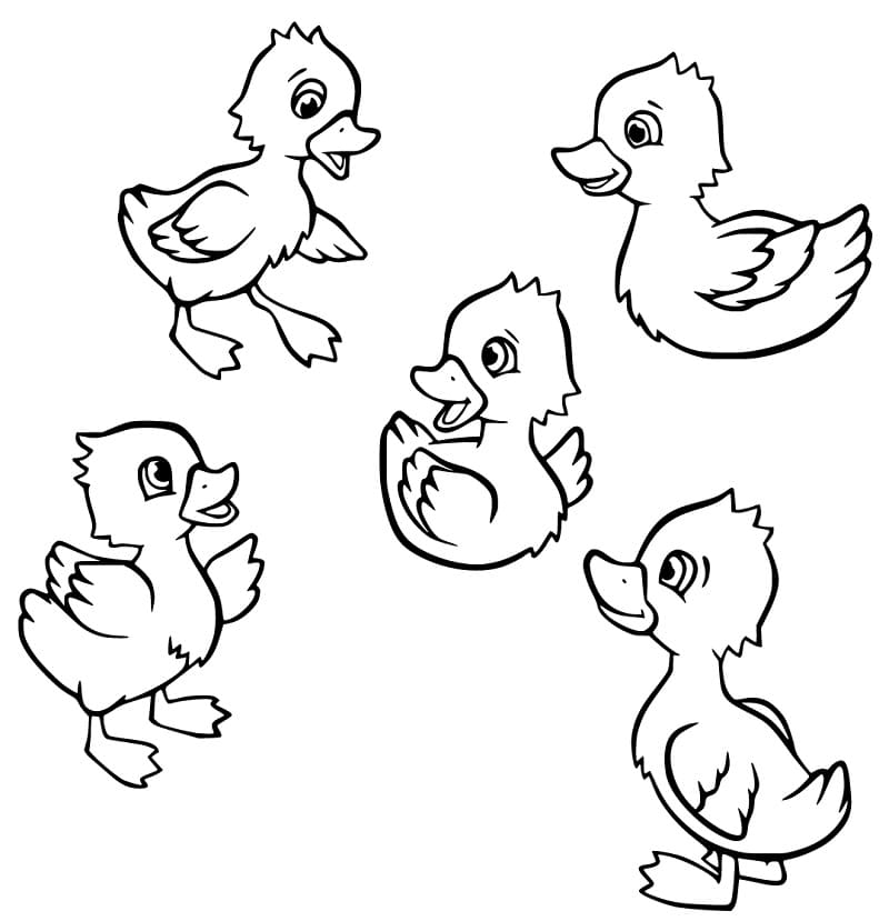 5 Little Ducks Coloring Page Coloring Book