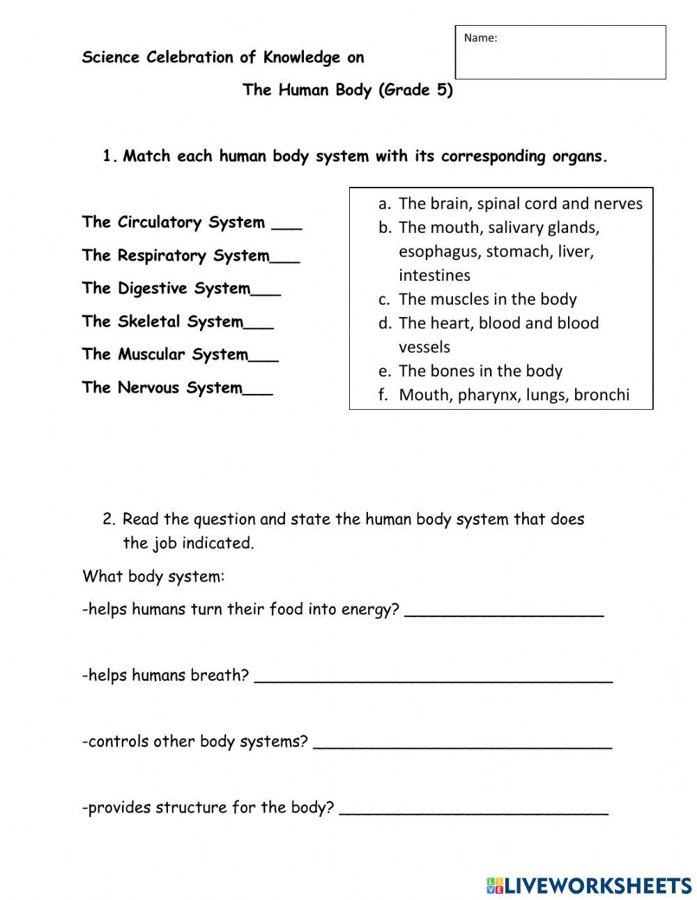 worksheets for 5th grade