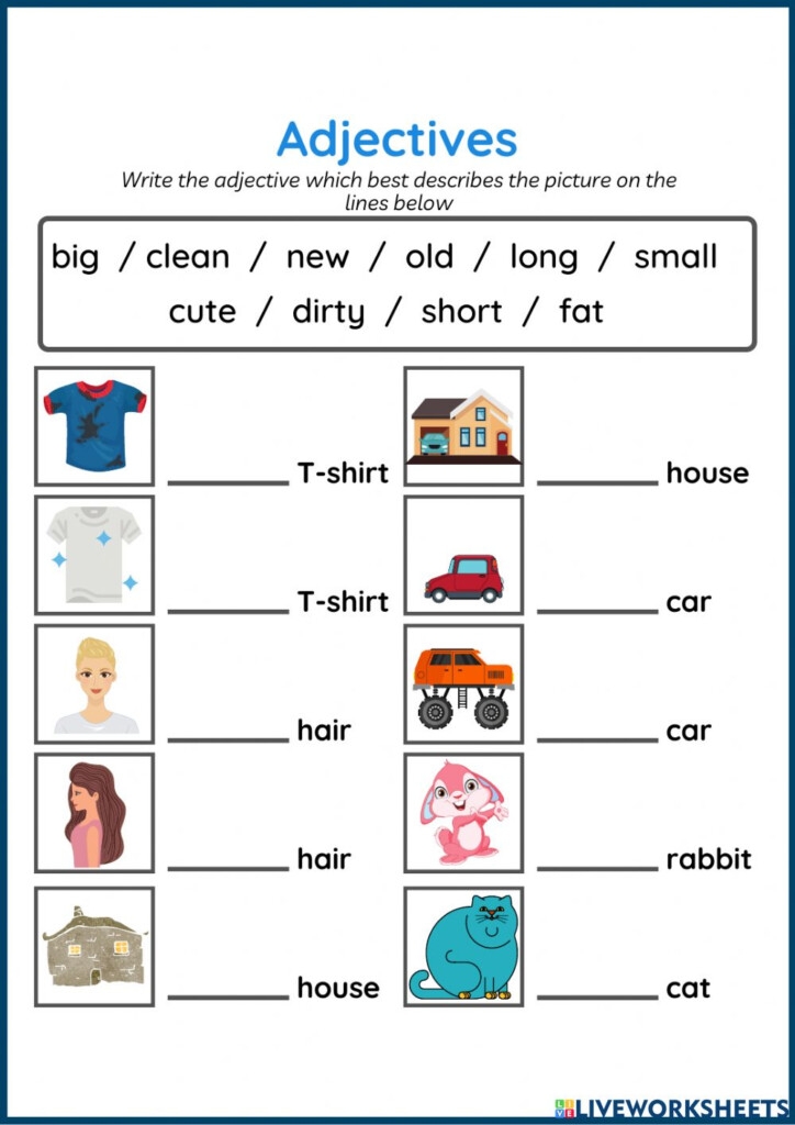 worksheets for kids grade 3