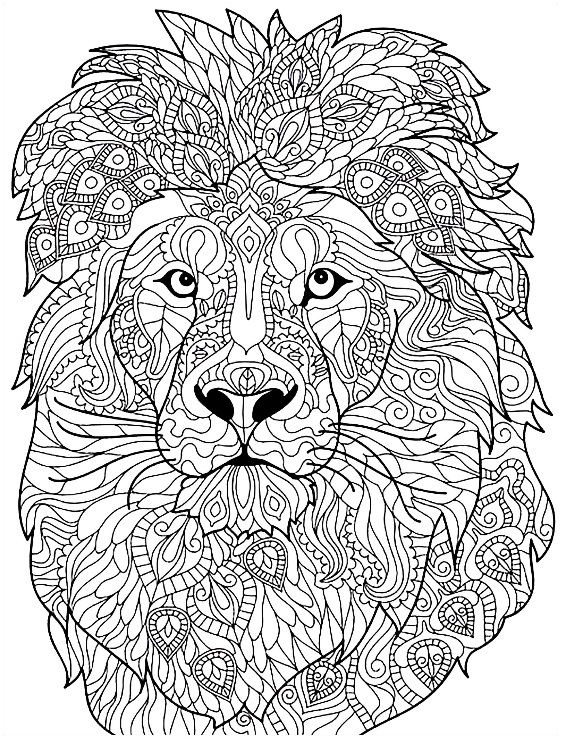 Adult Coloring Pages Lion At GetDrawings Free Download