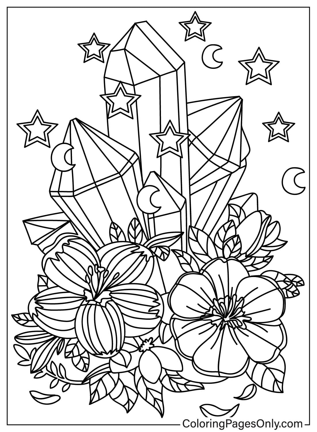 drawing sheet for coloring