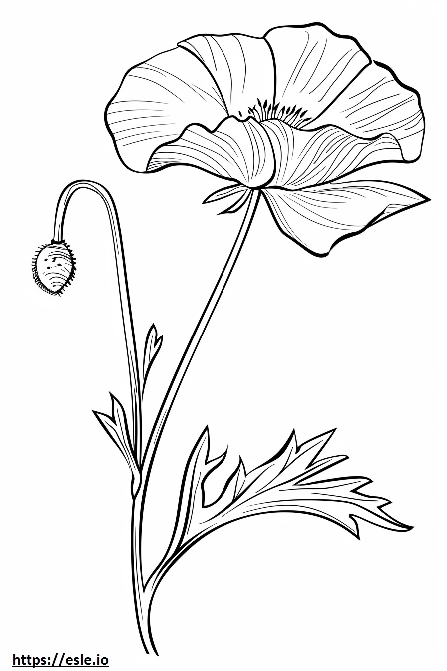 Aesthetic Flower Coloring Page