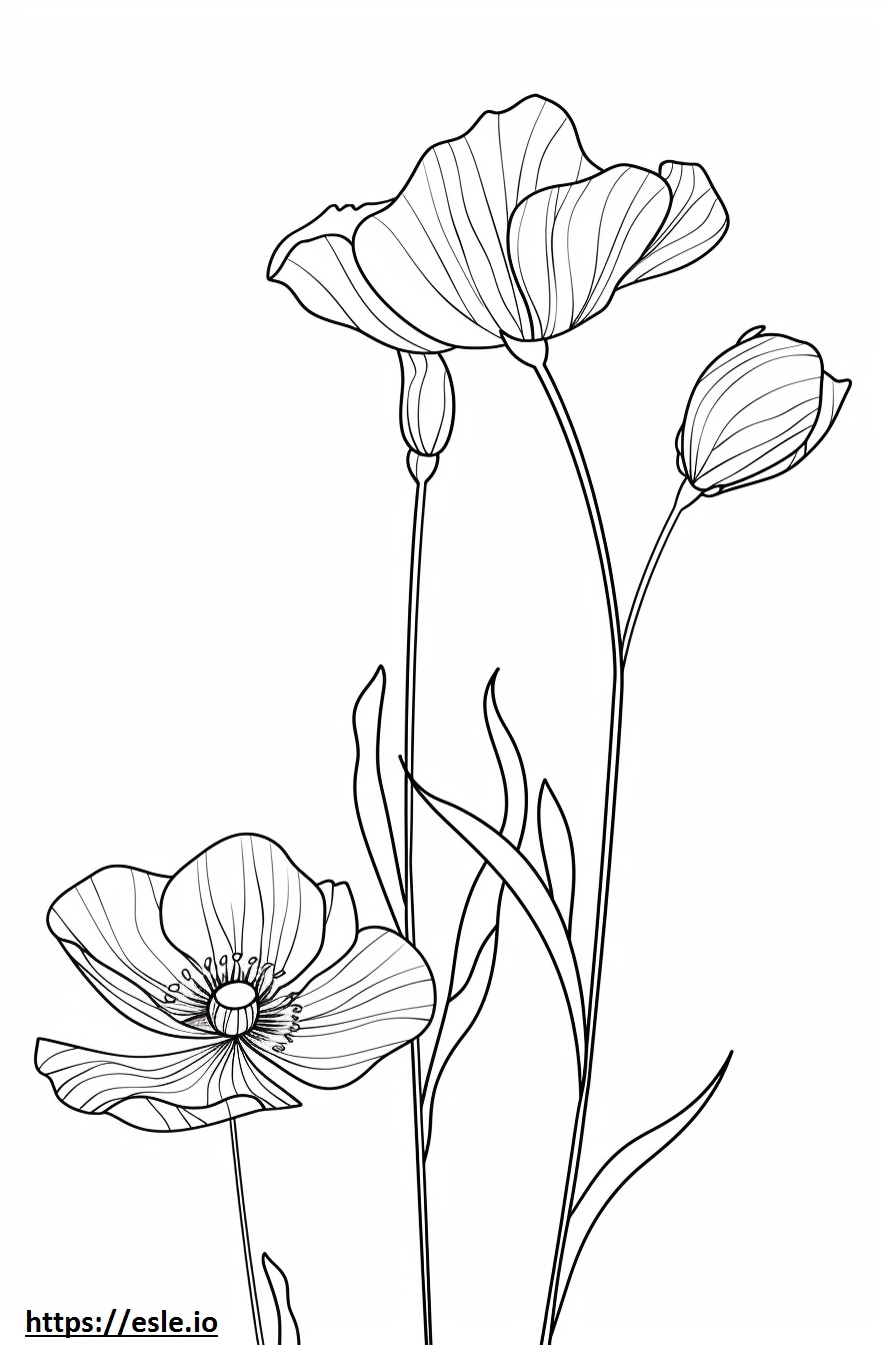 Aesthetic Flower Coloring Sheet