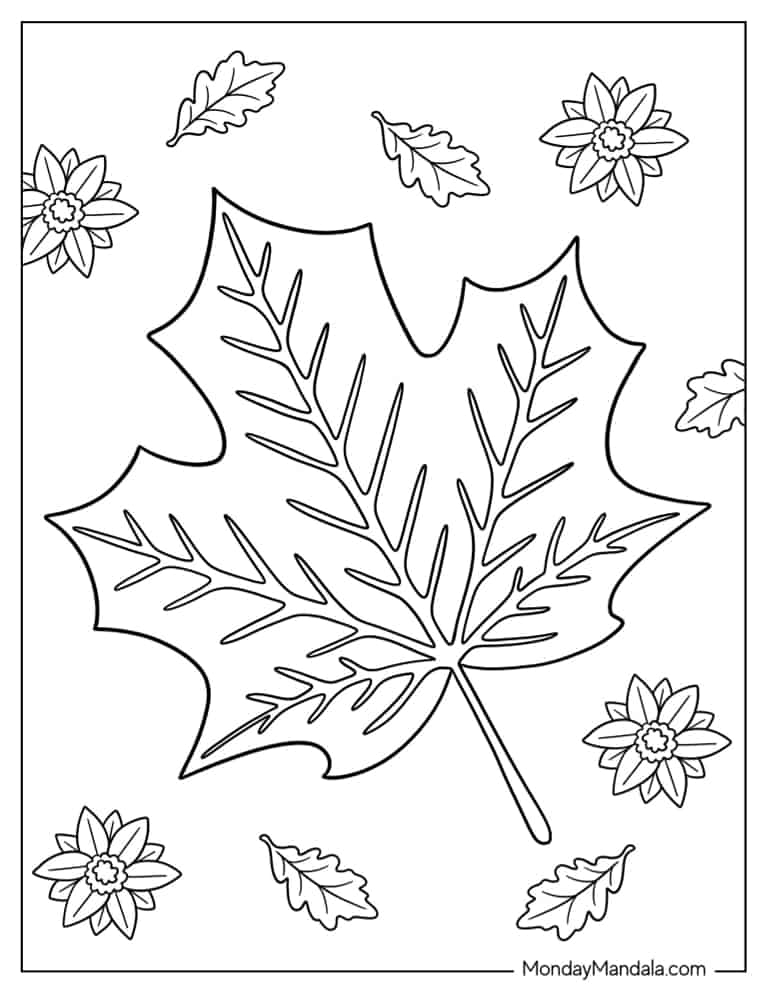 Autumn Leaves Colouring Sheet Infoupdate