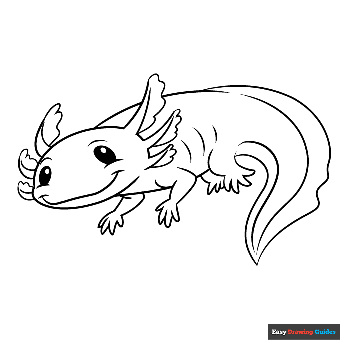 Axolotl Coloring Page Drawing Coloring Nation