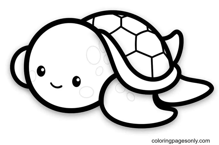 Baby Turtle Coloring Pages Fun And Free Printable Designs