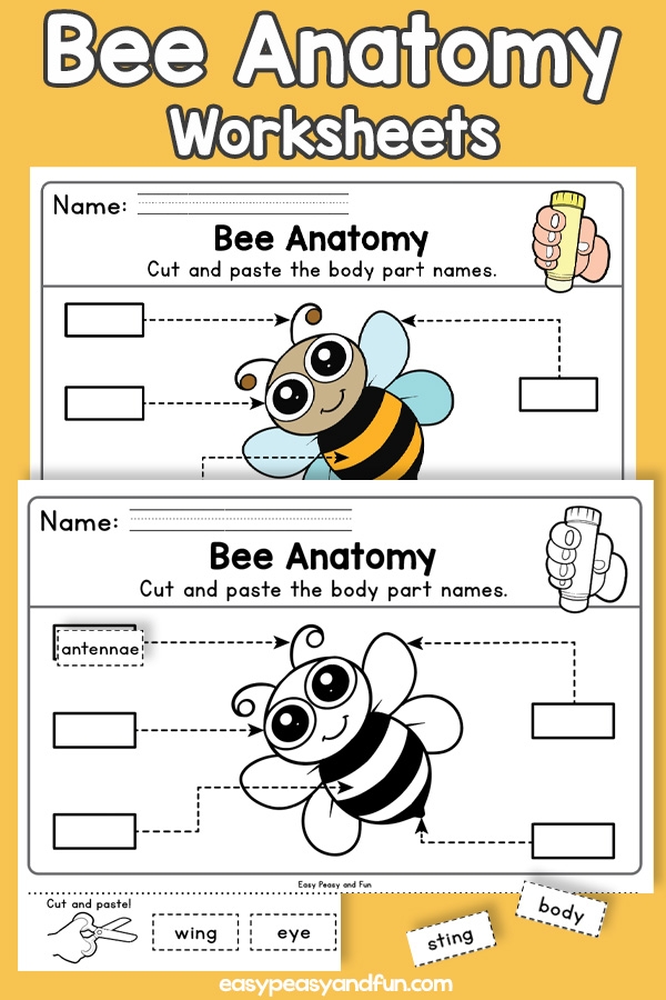 bee worksheets printable