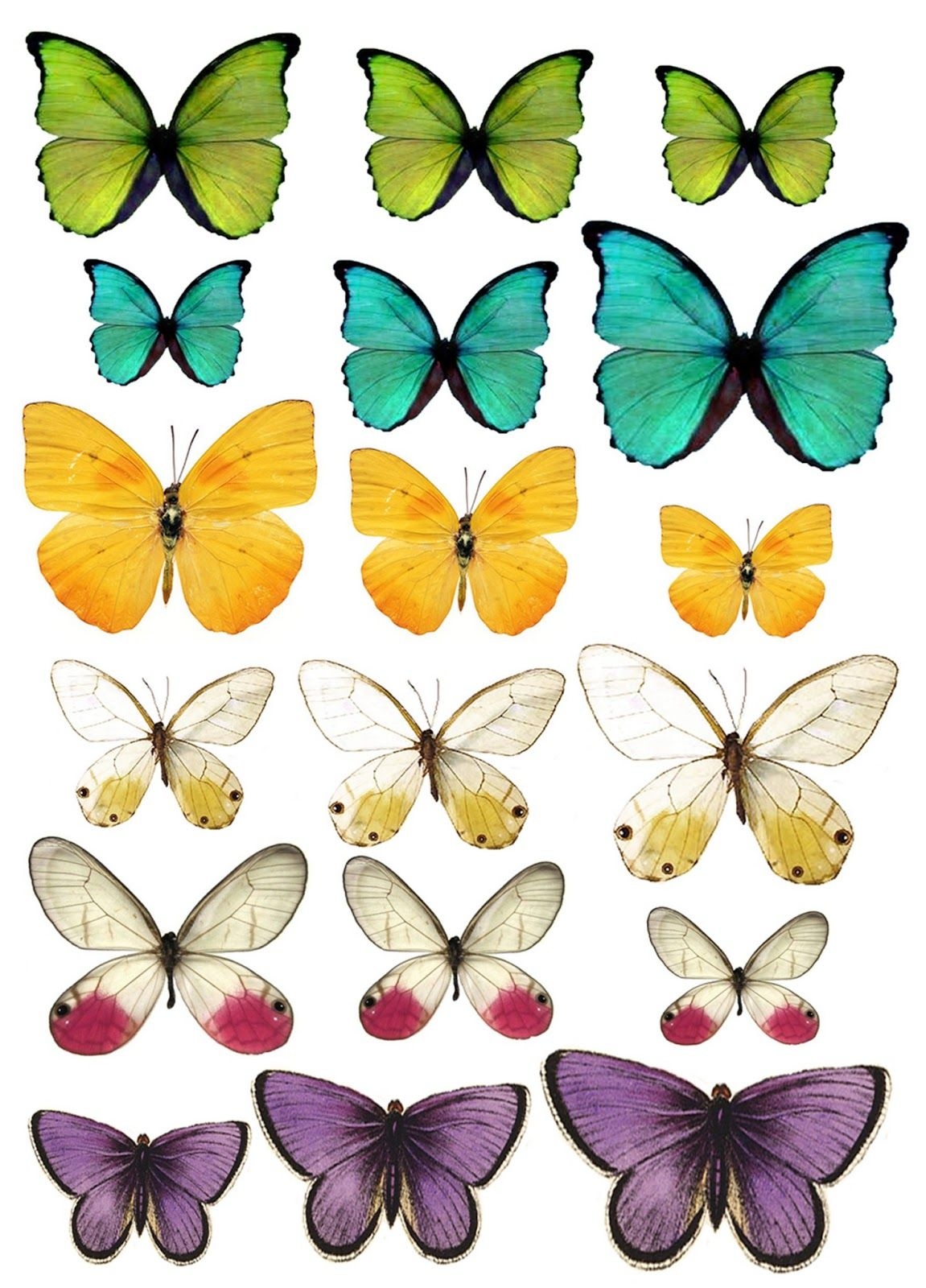 Beautiful Butterfly Art Free Butterfly Printable And Images