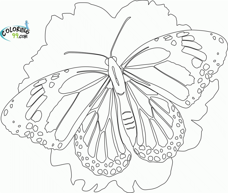 bing coloring pages for adults