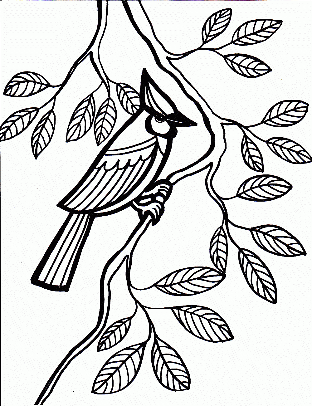 coloring picture of a bird