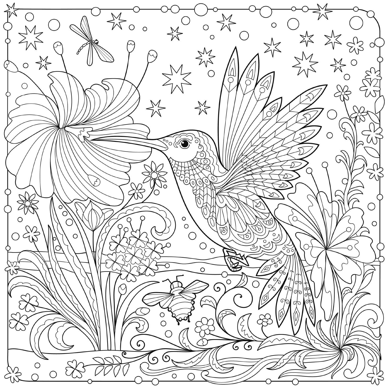 Bird Coloring Pages For Adults