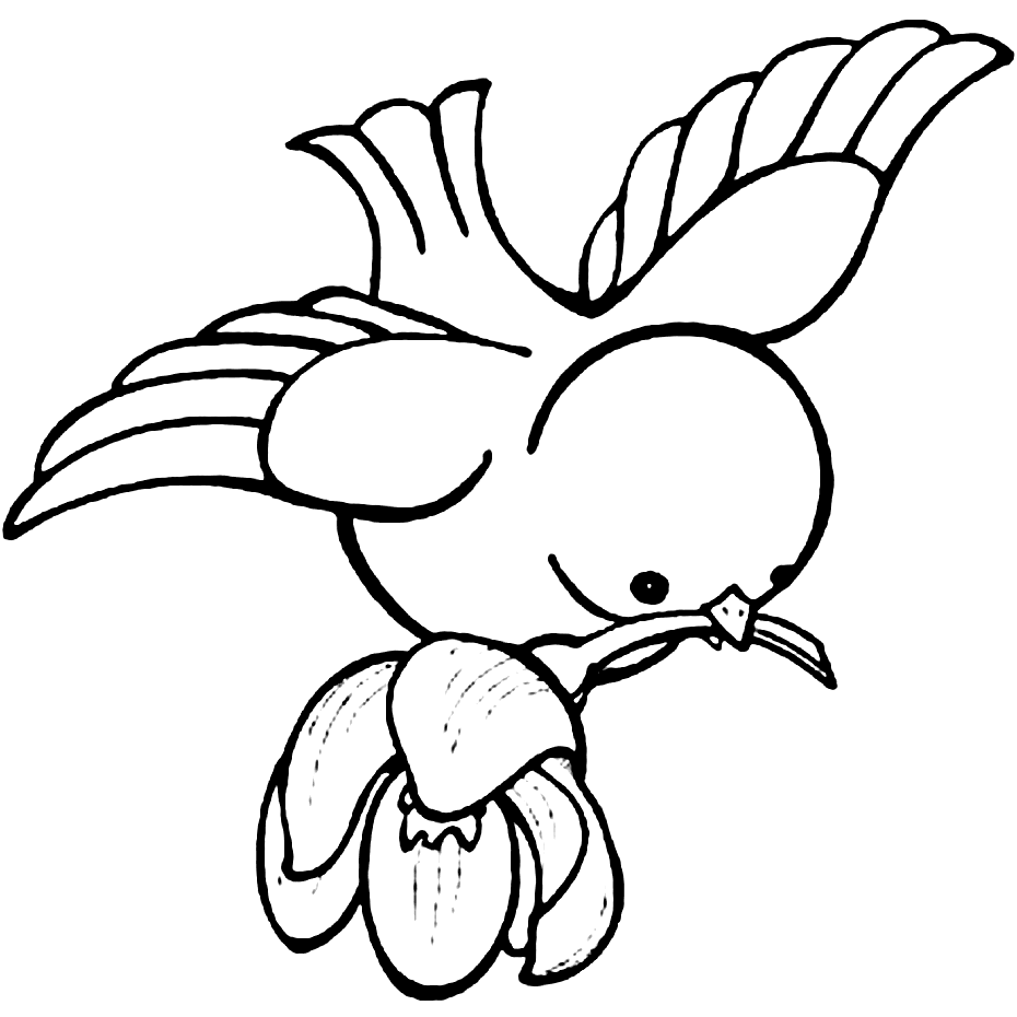 coloring page bird
