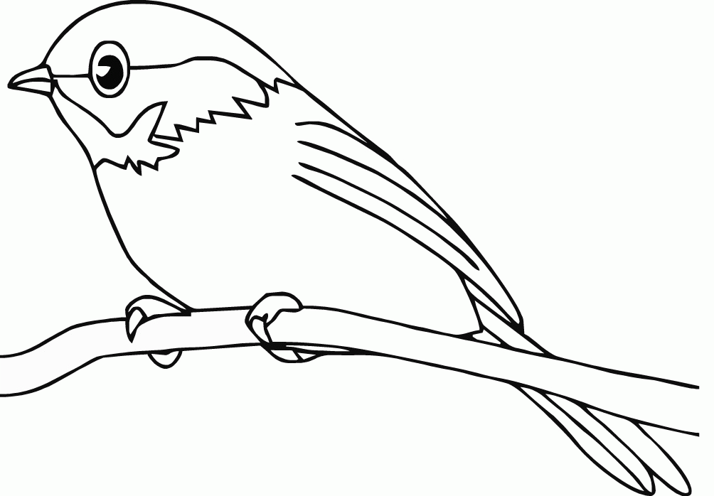 Bird Printable Coloring Pages Coloring Home