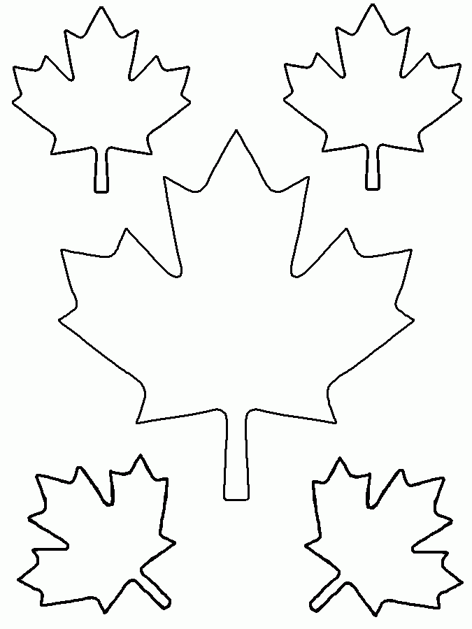 Blank Leaf Template Coloring Home
