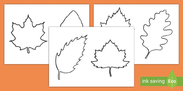 Blank Leaves Template teacher Made 