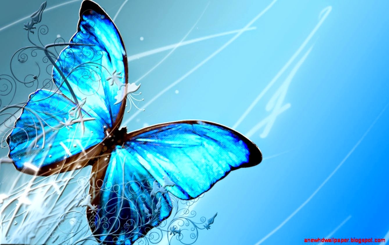 Blue Butterfly Blank Template Imgflip