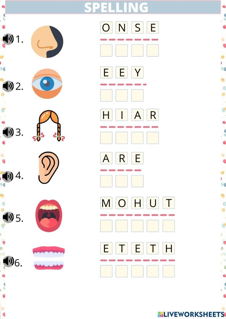 BODY PARTS Face Spelling Worksheet Spelling Worksheets Human Body 