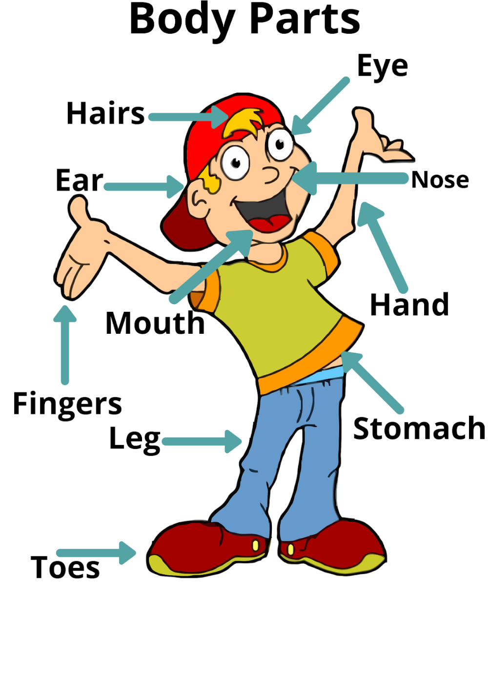 Body Parts Printable