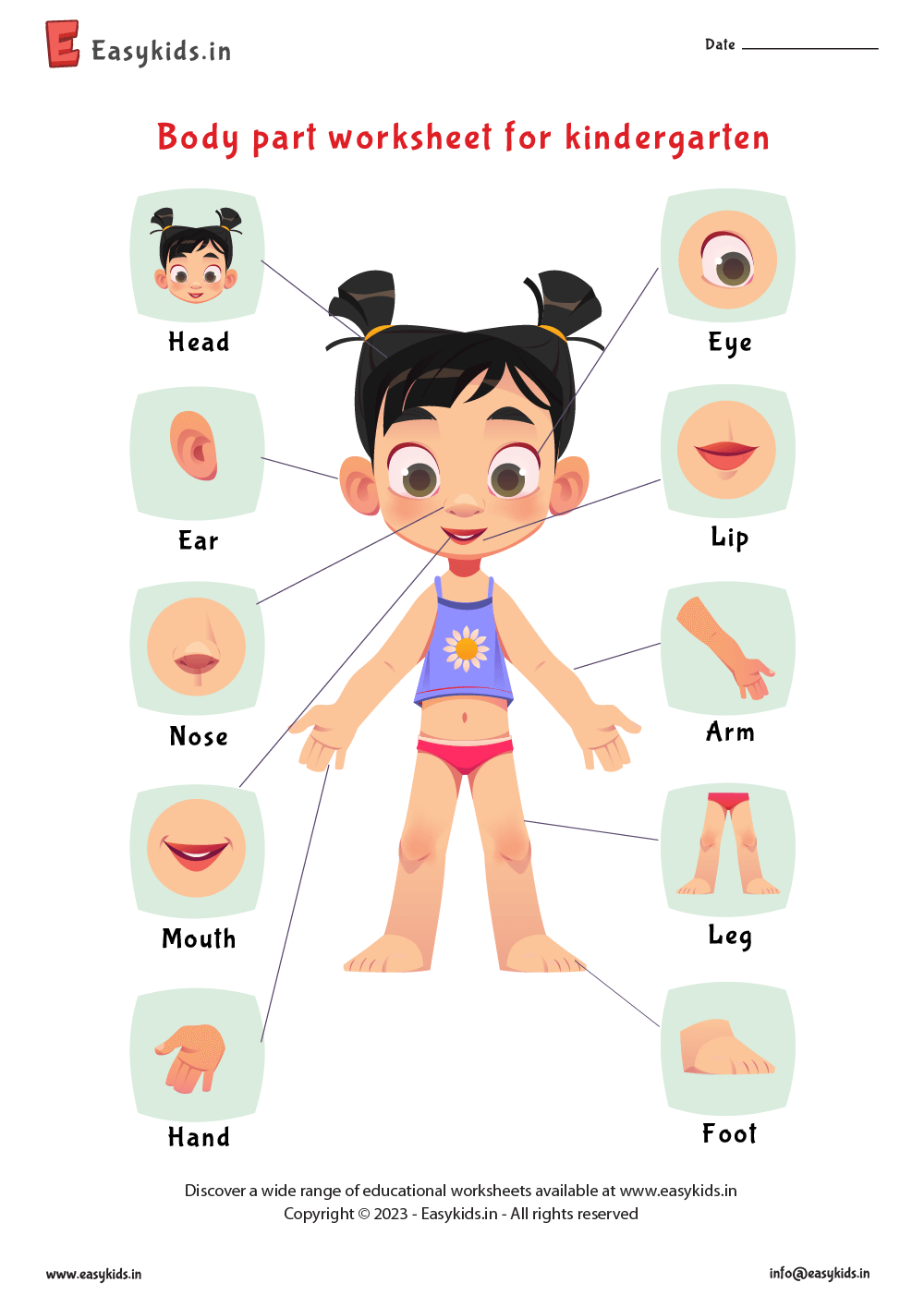 printable worksheets body parts worksheet
