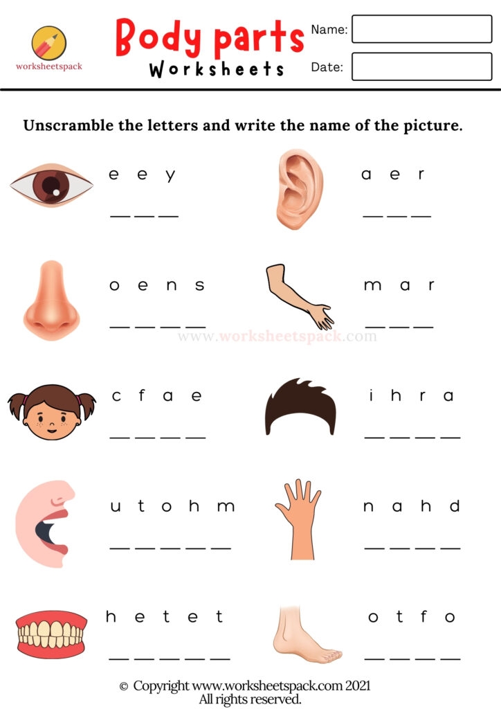 Body Parts Worksheets Worksheetspack
