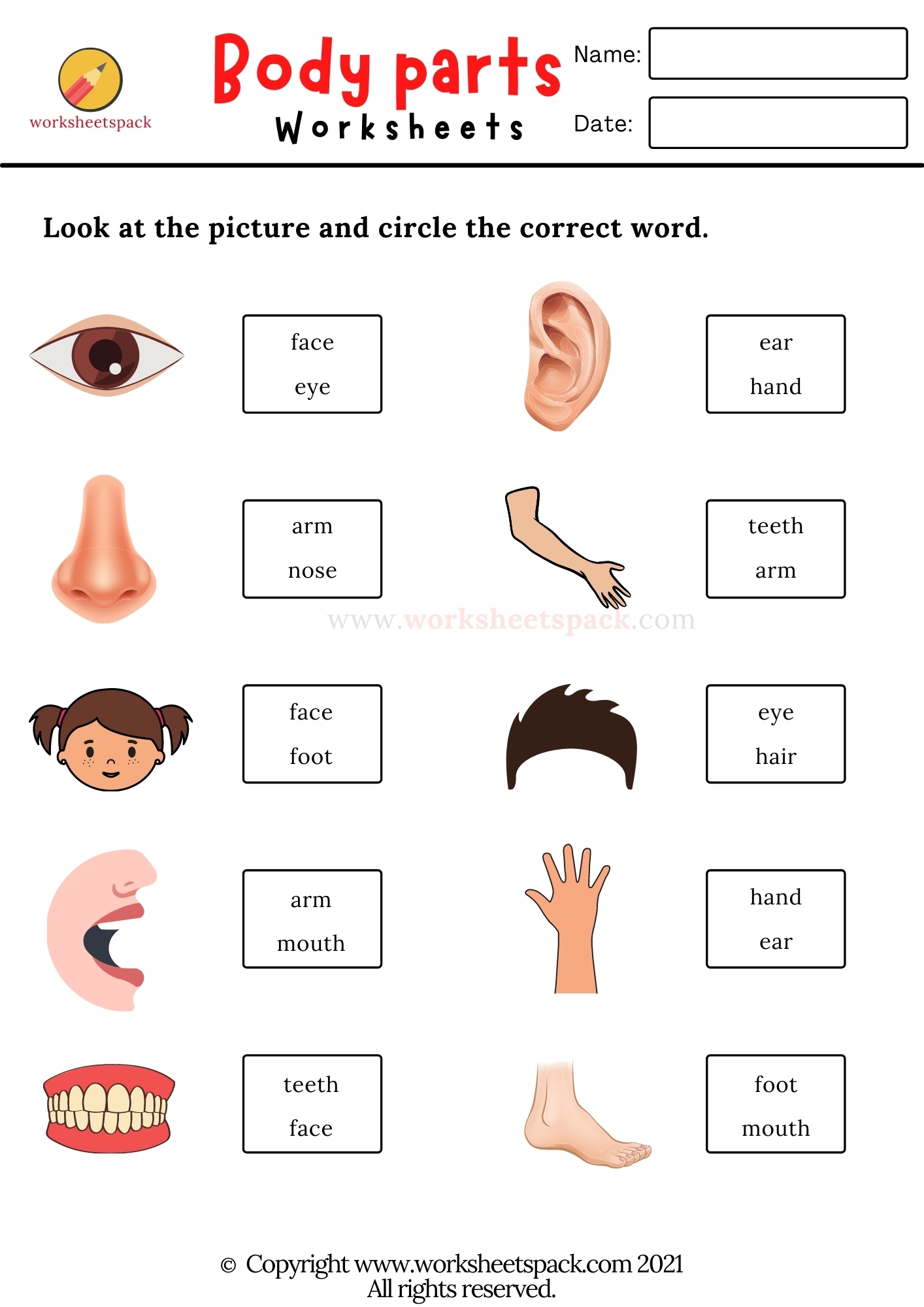 body parts worksheets pdf