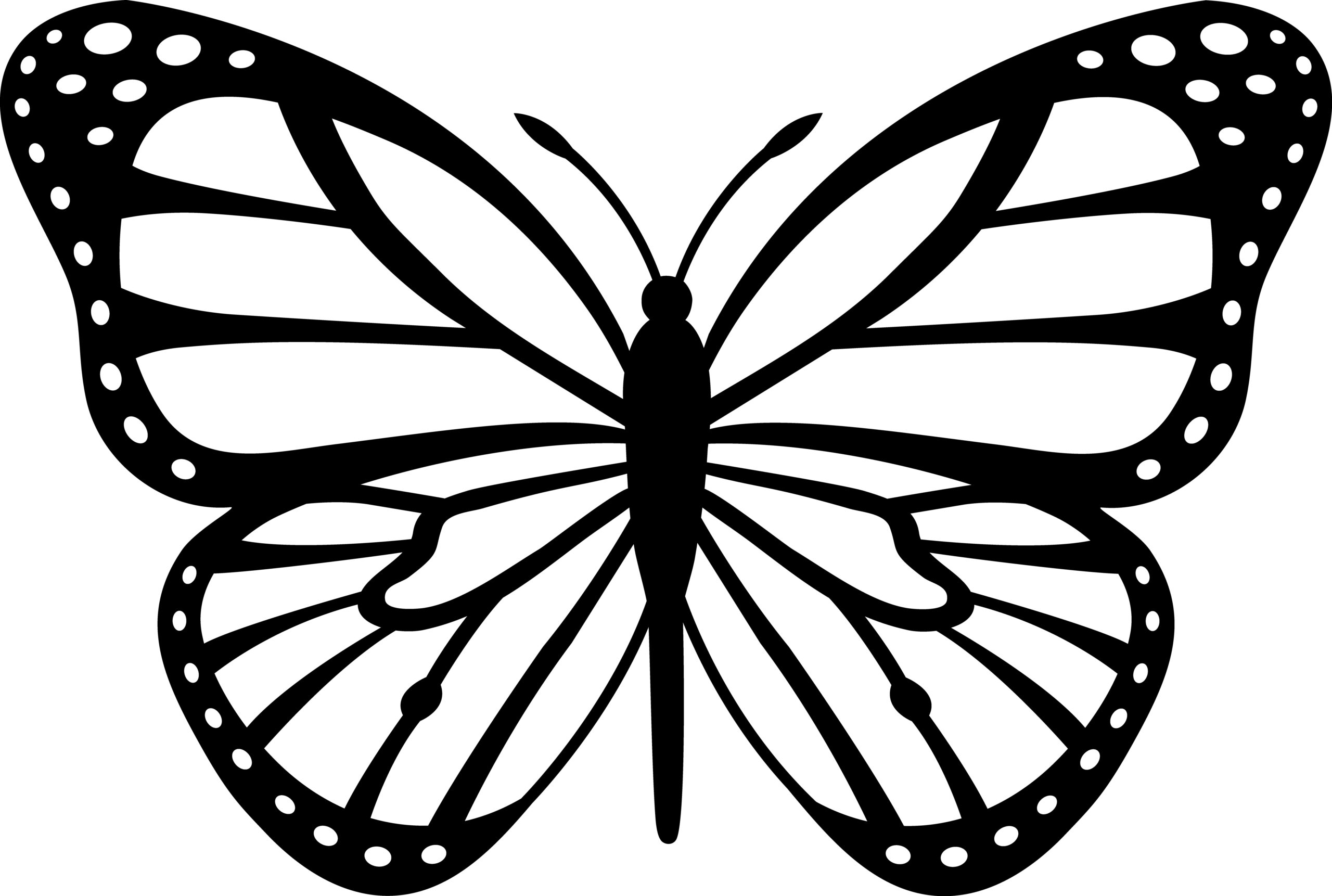 Butterfly Drawing Outline At GetDrawings Free Download