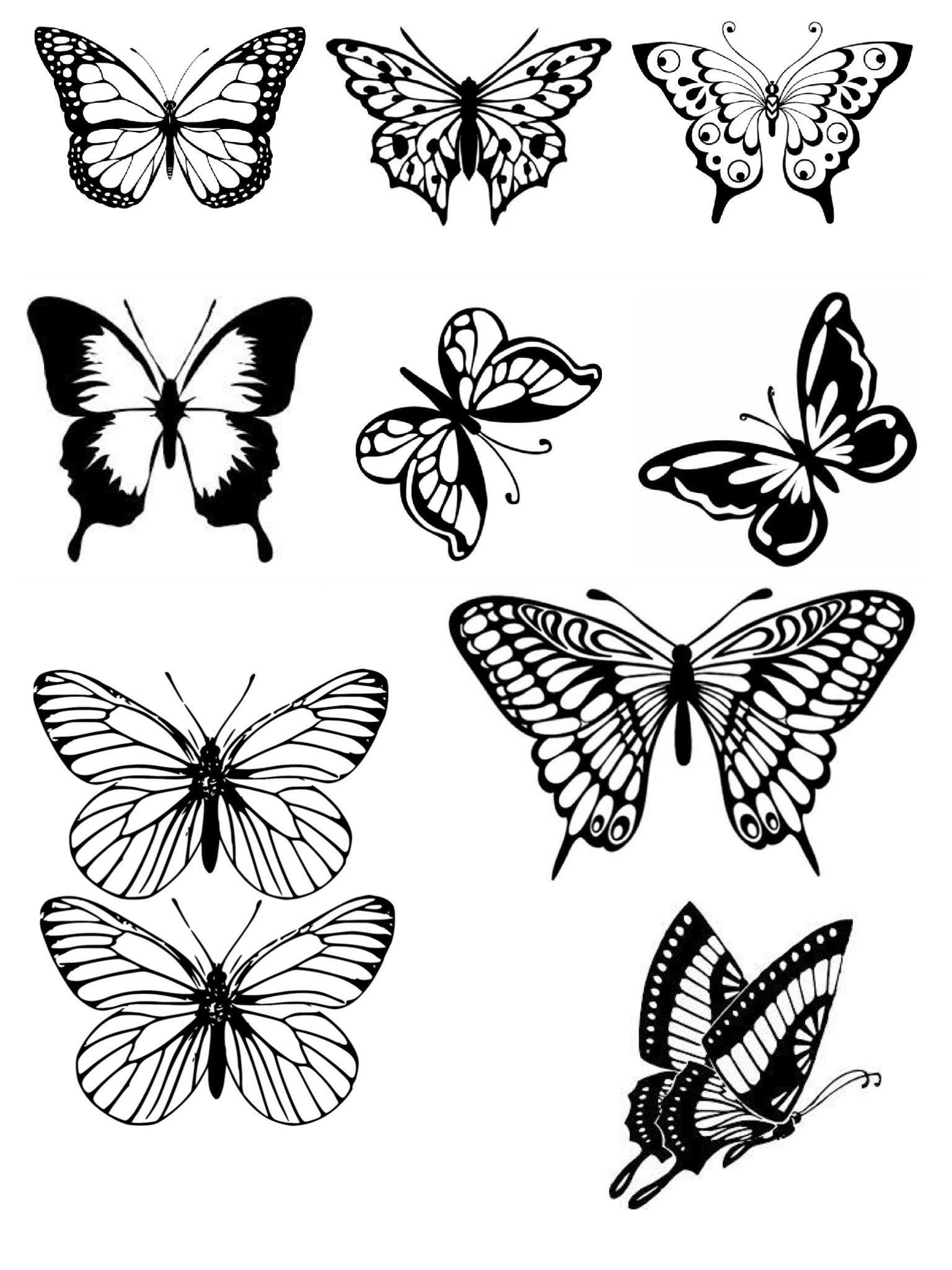 Butterfly Drawing Outline Zonezik