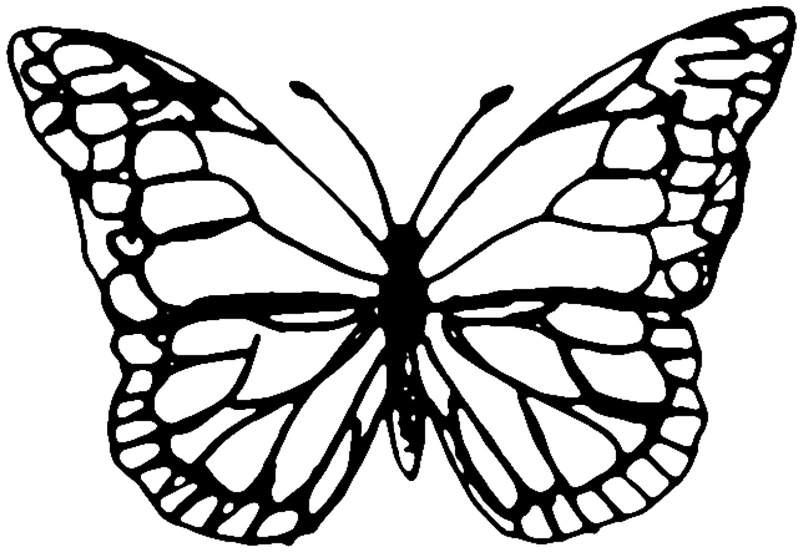 Beautiful Butterfly Template