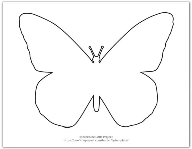 Big Butterfly Template