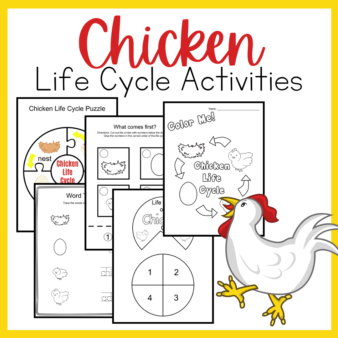 free printable chicken life cycle