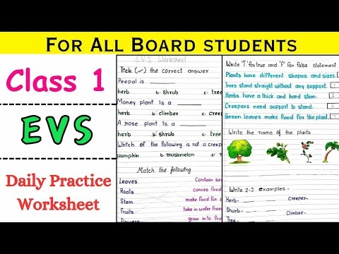 Class 1 EVS Daily Practice Worksheet Class 1 EVS Worksheet Class 1 
