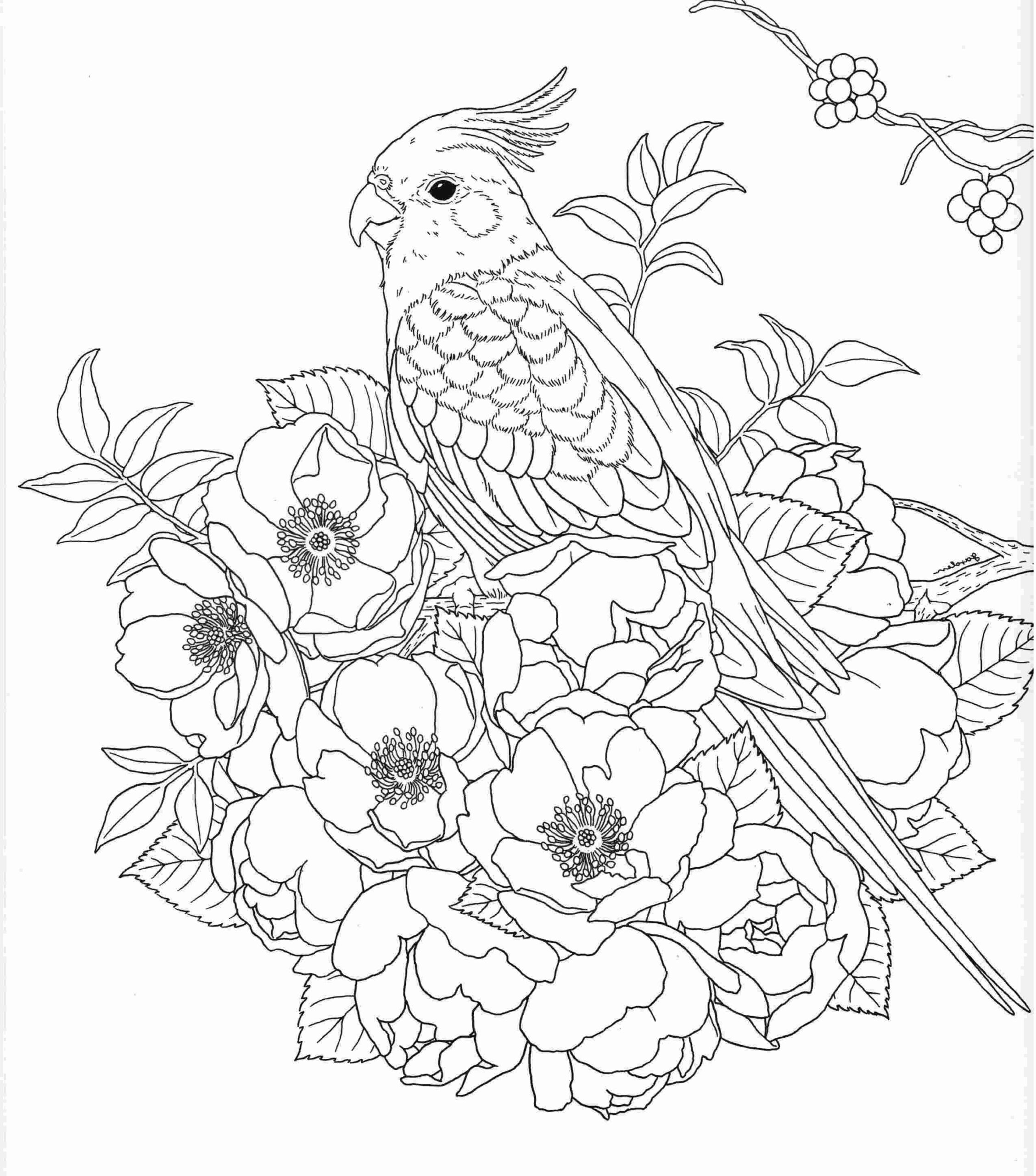 nature coloring pages for adults