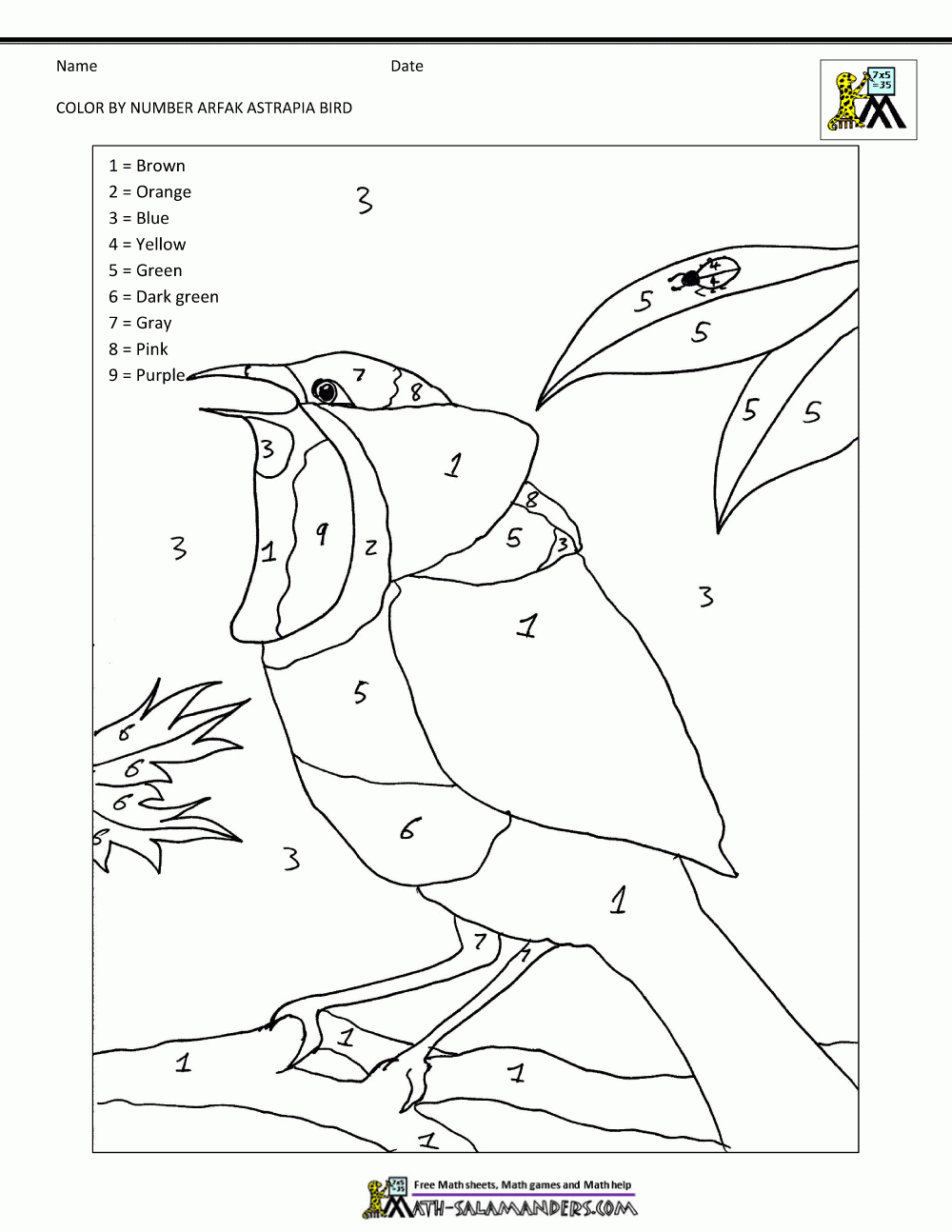 Color By Number Sheets Bird Theme