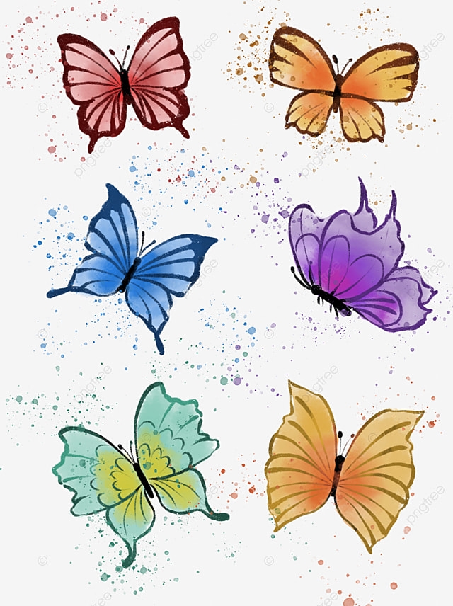 Colored Butterfly Template
