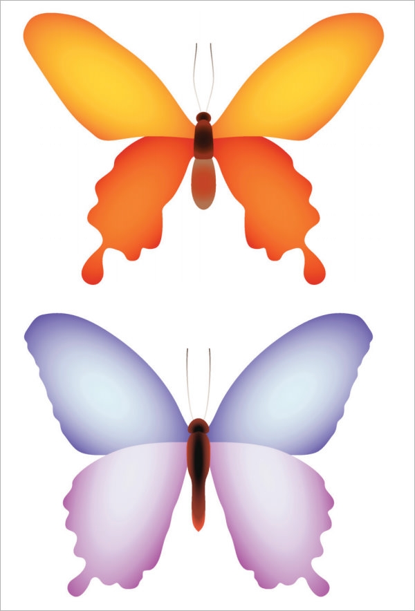 Colored Butterfly Template