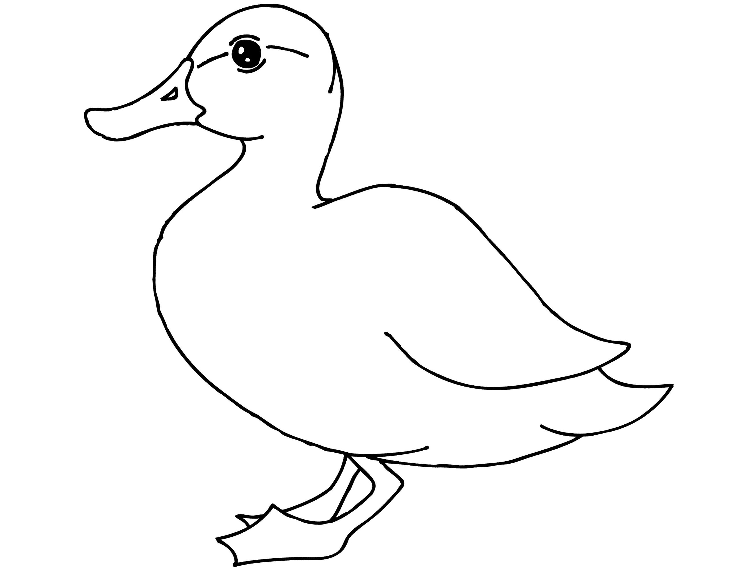 coloring page duck