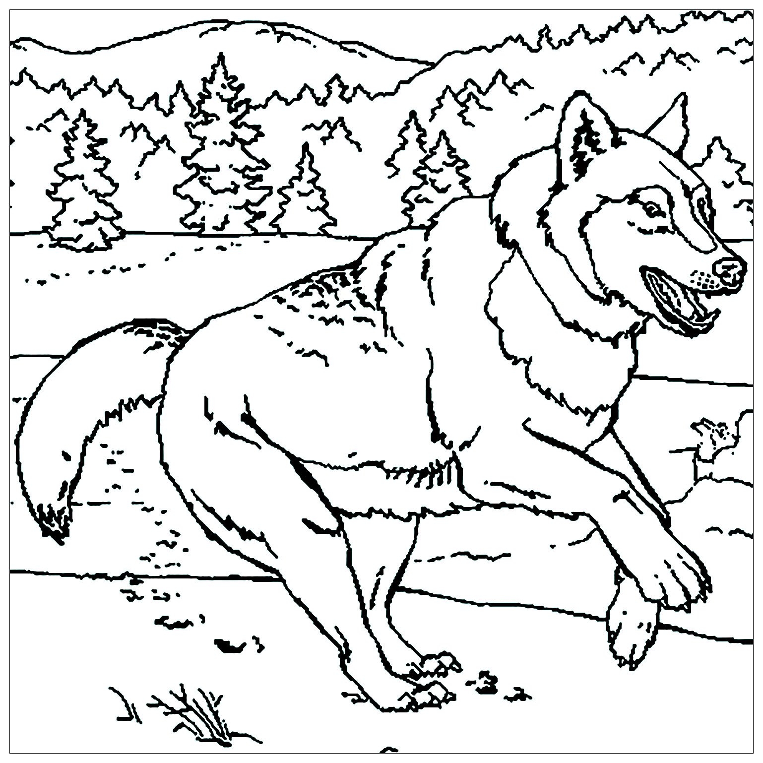 free wolf coloring page