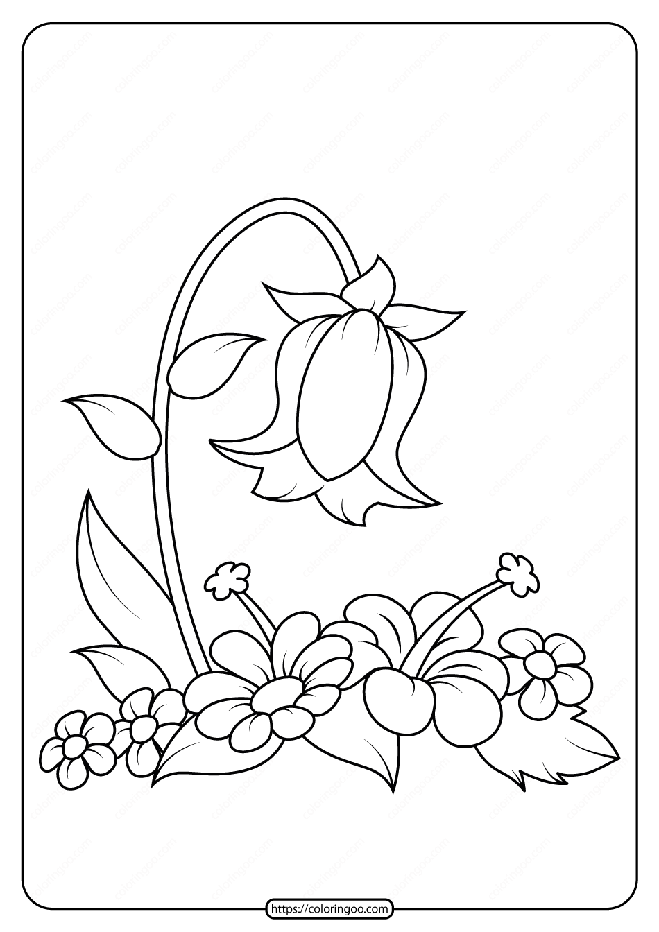 Coloring Pages Flowers Pdf Adult Printable Tattoo Botanical Botanicum