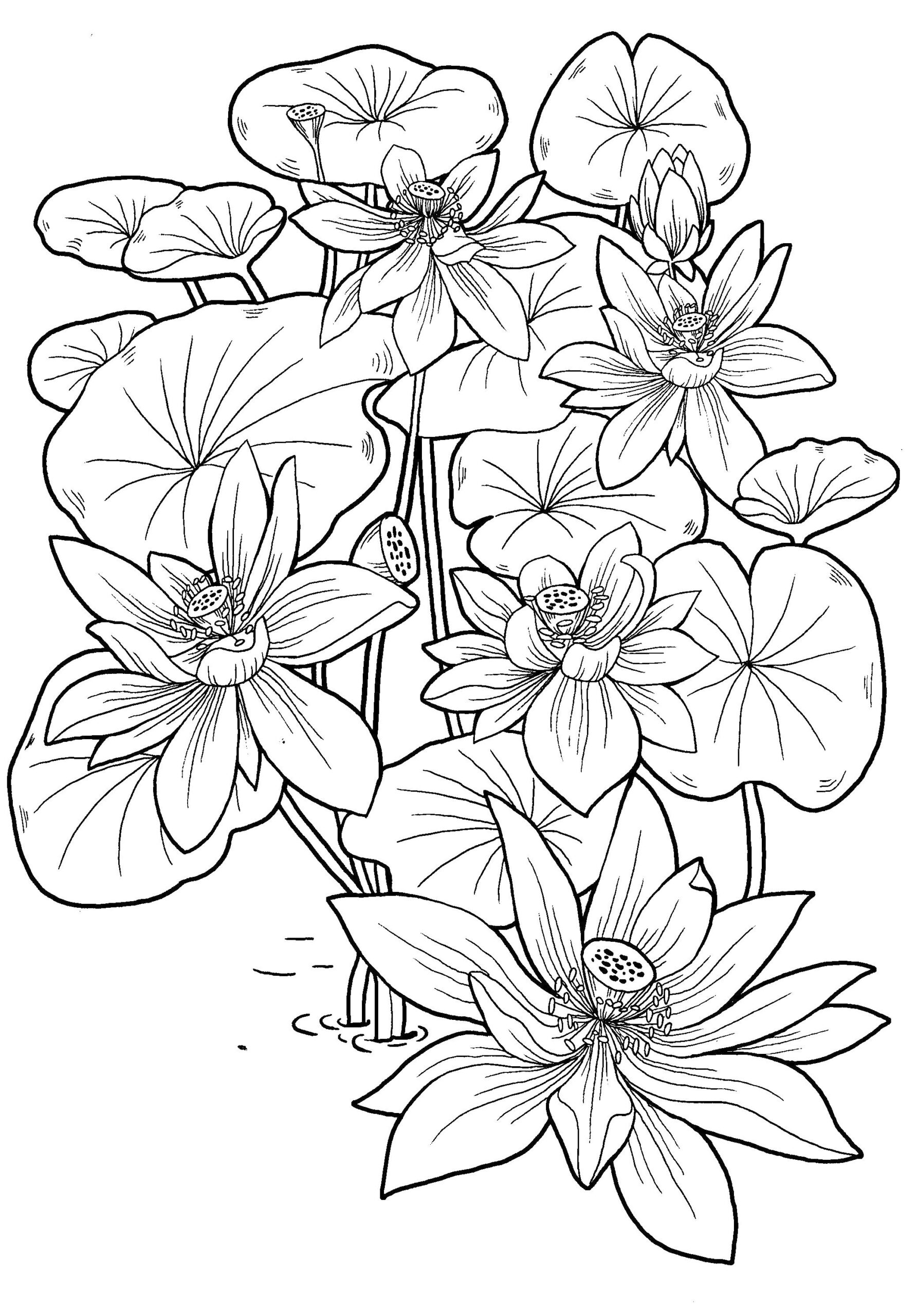 colouring pages for 9 year old girls