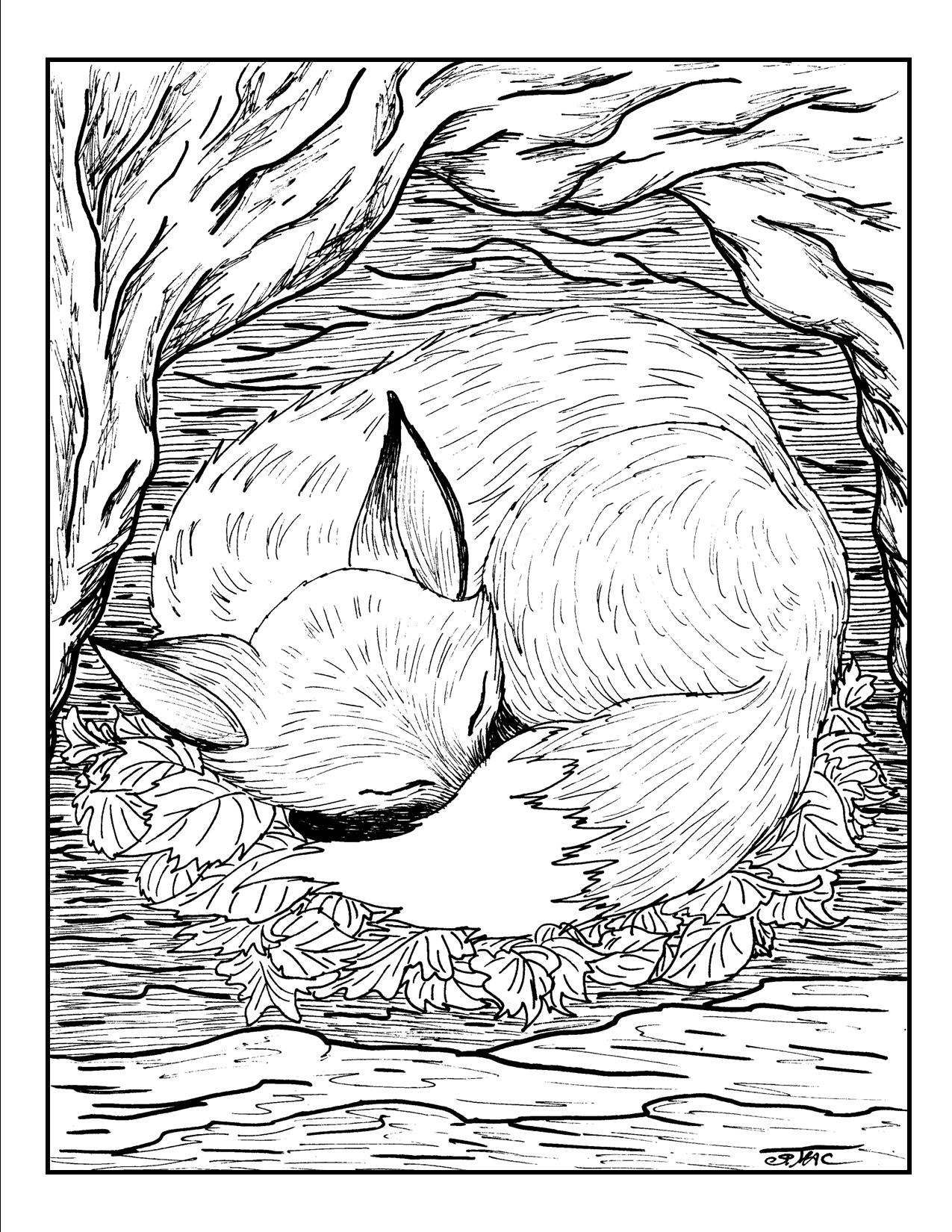 adult coloring page nature