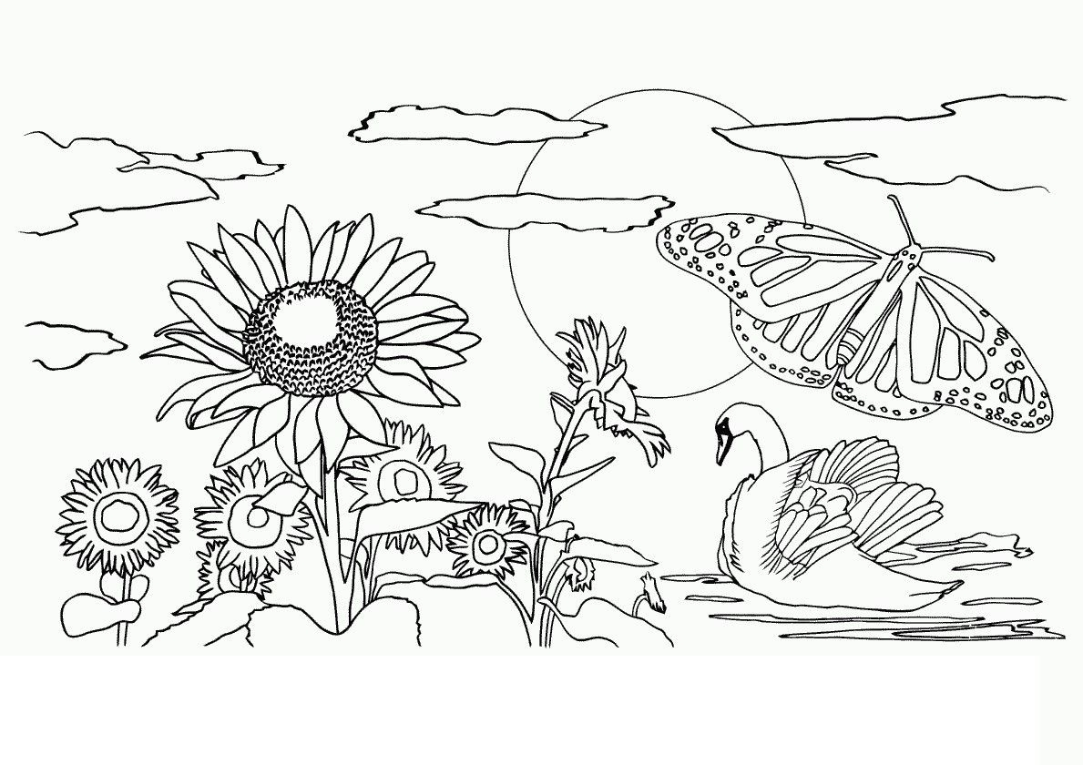 Coloring Pages For Adults Nature Coloring Home