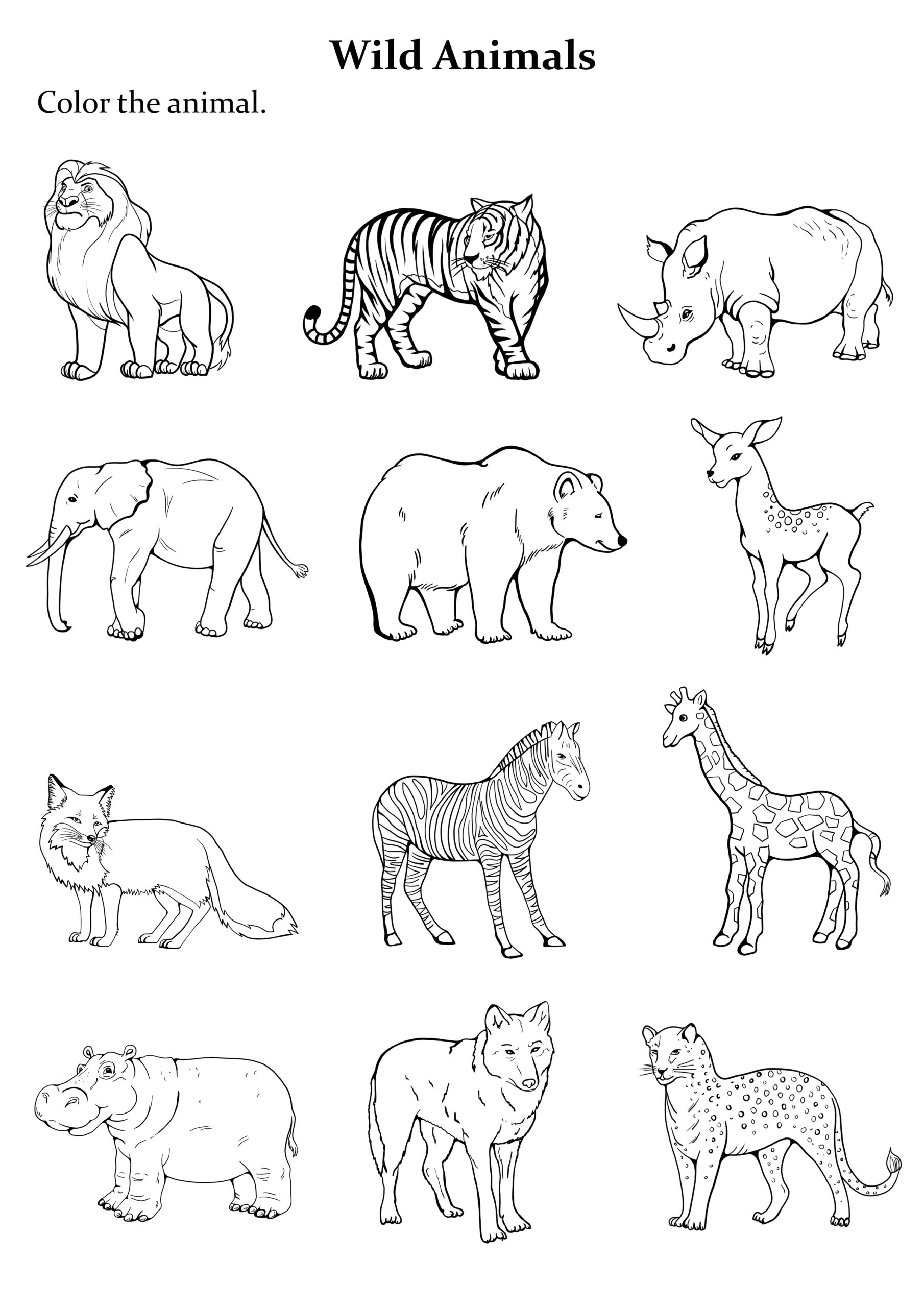 free printable coloring sheets animals