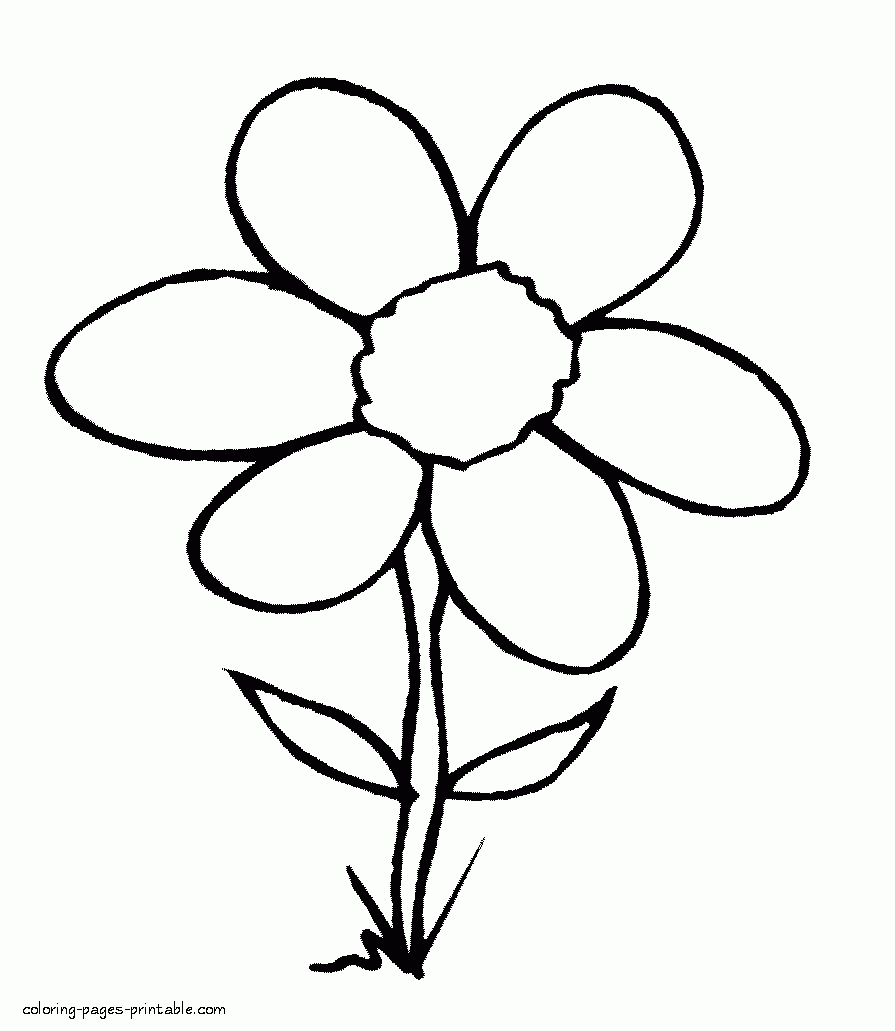 coloring worksheets about nature