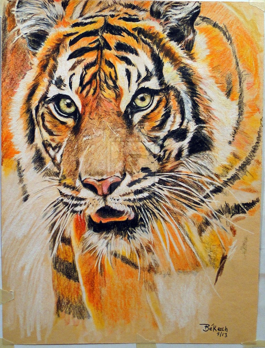 tiger pictures to colour in