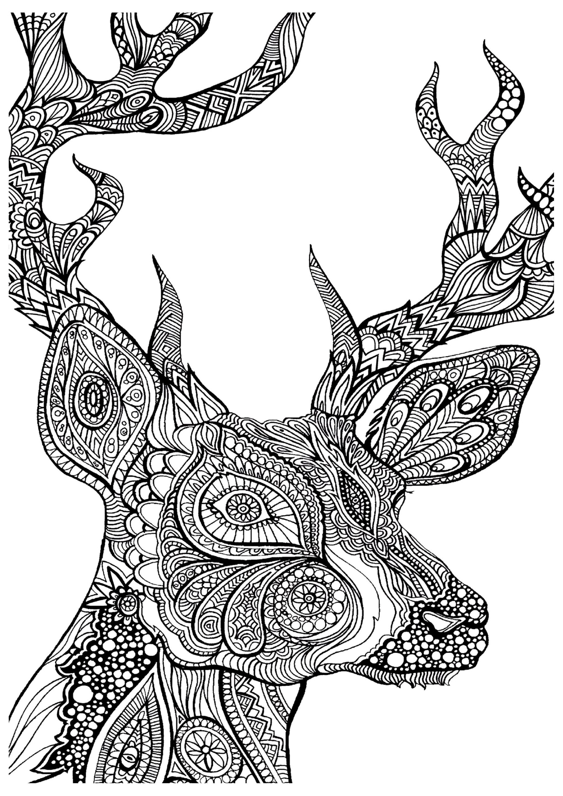 Complex Coloring Pages Of Animals Coloring Home